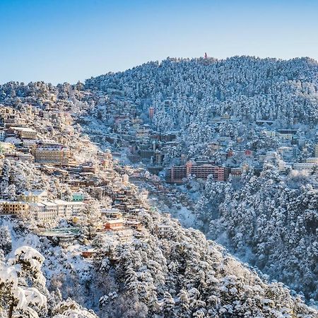 Mountain Zest-Simla Royale Near Mall Road-Free Pickup From Railway Station Simla Εξωτερικό φωτογραφία