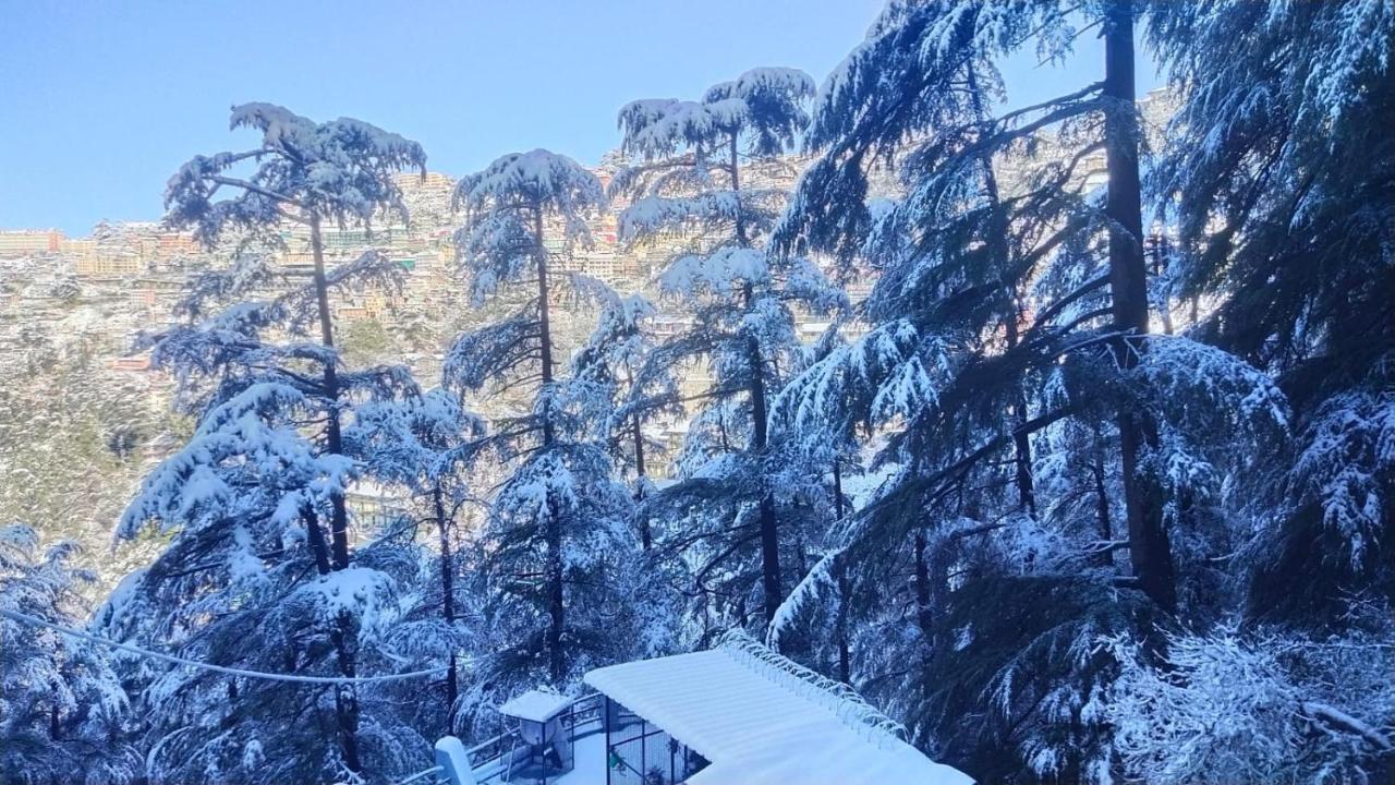 Mountain Zest-Simla Royale Near Mall Road-Free Pickup From Railway Station Simla Εξωτερικό φωτογραφία